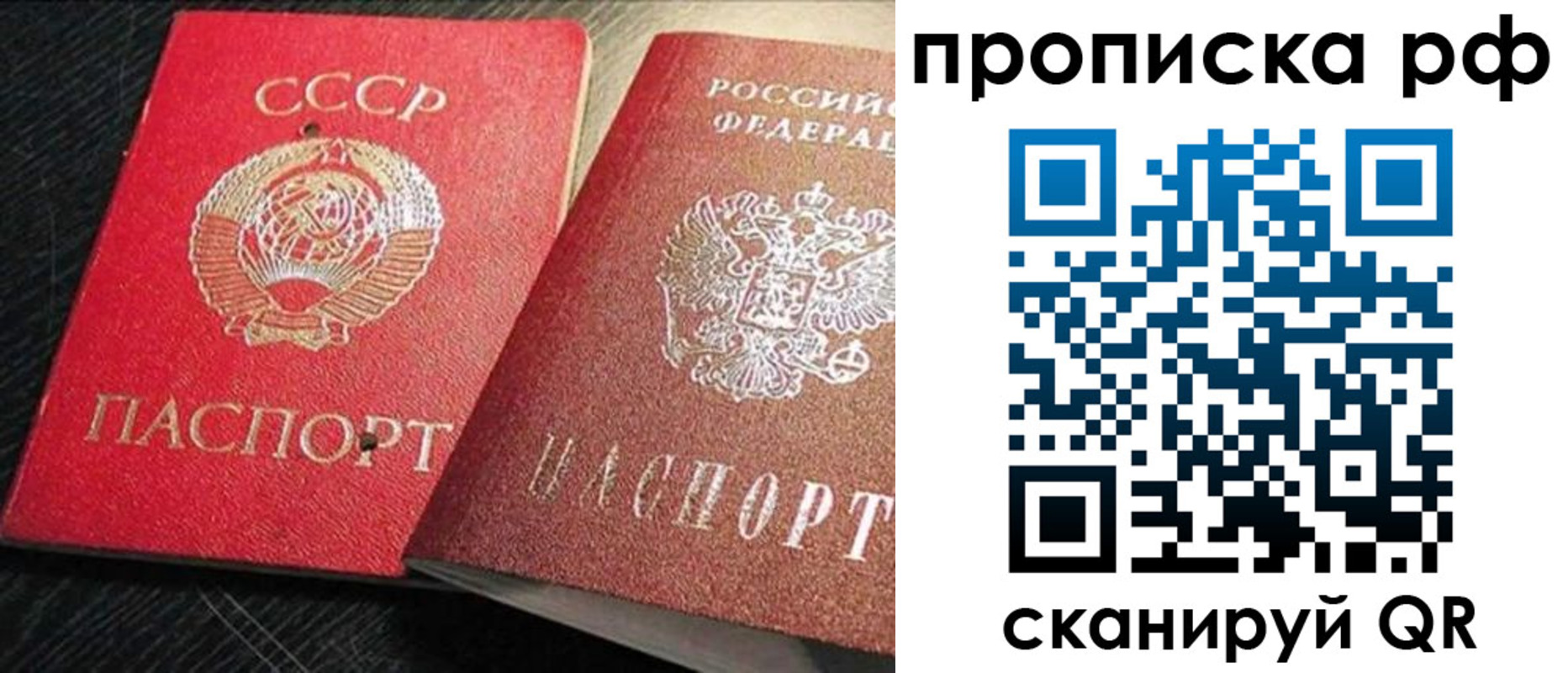 где прописаться в Оленегорске